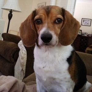 Meet your Posher, Patti